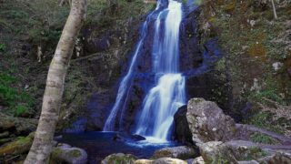 1f2bacd8e12bf37edfdd0d0135b025