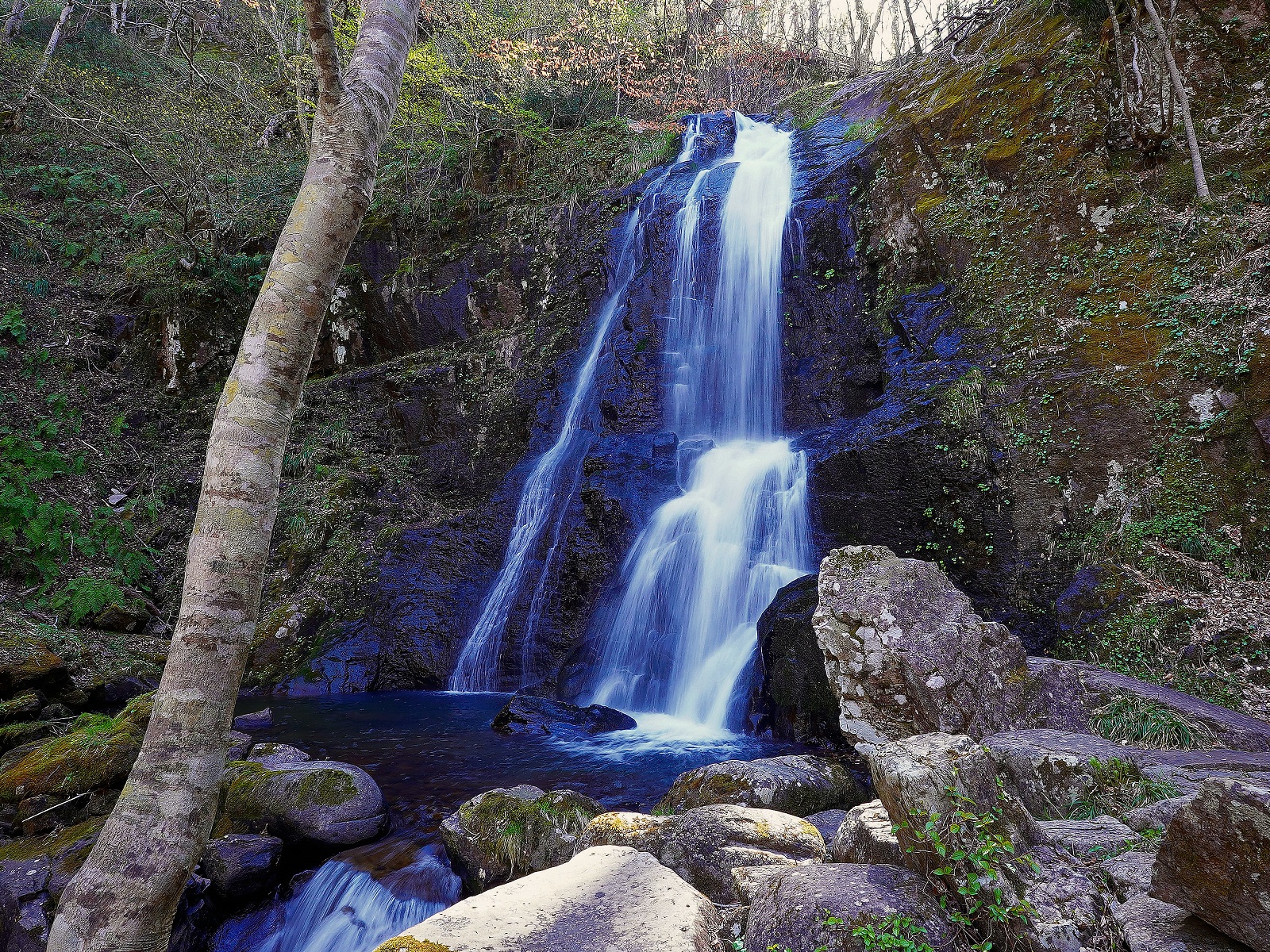 県立自然公園 宇津江四十八滝 - 森林浴マップ（Shinrin-yoku MAP）